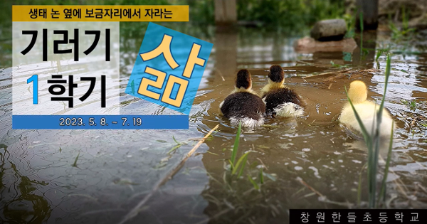 2023. 1학기 기러기의 성장